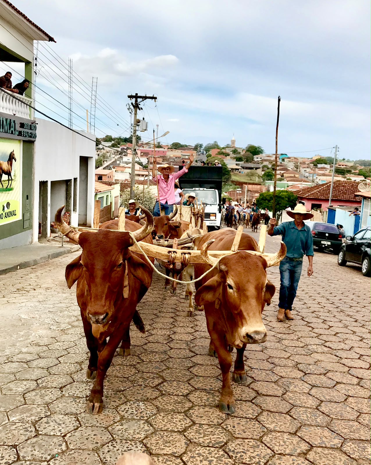 Desfile de Carros de Boi  